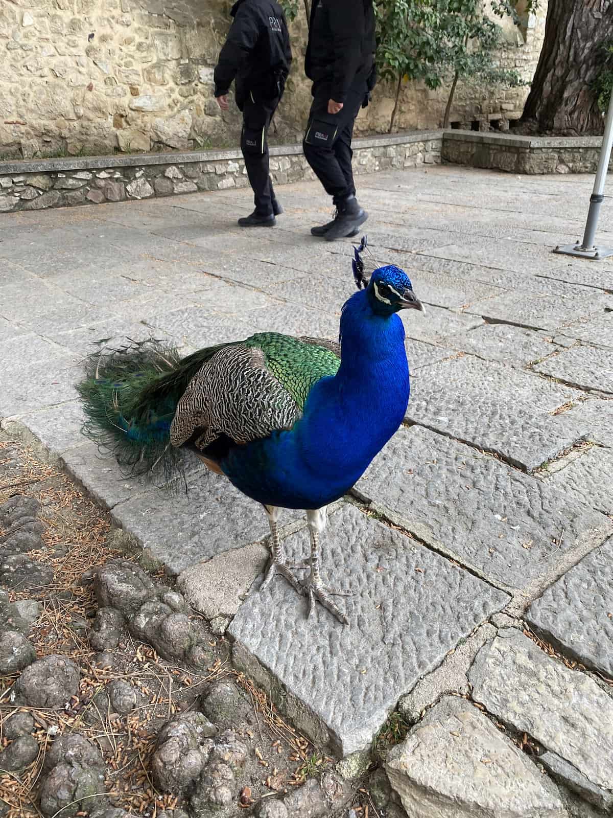 サン・ジョルジェ城