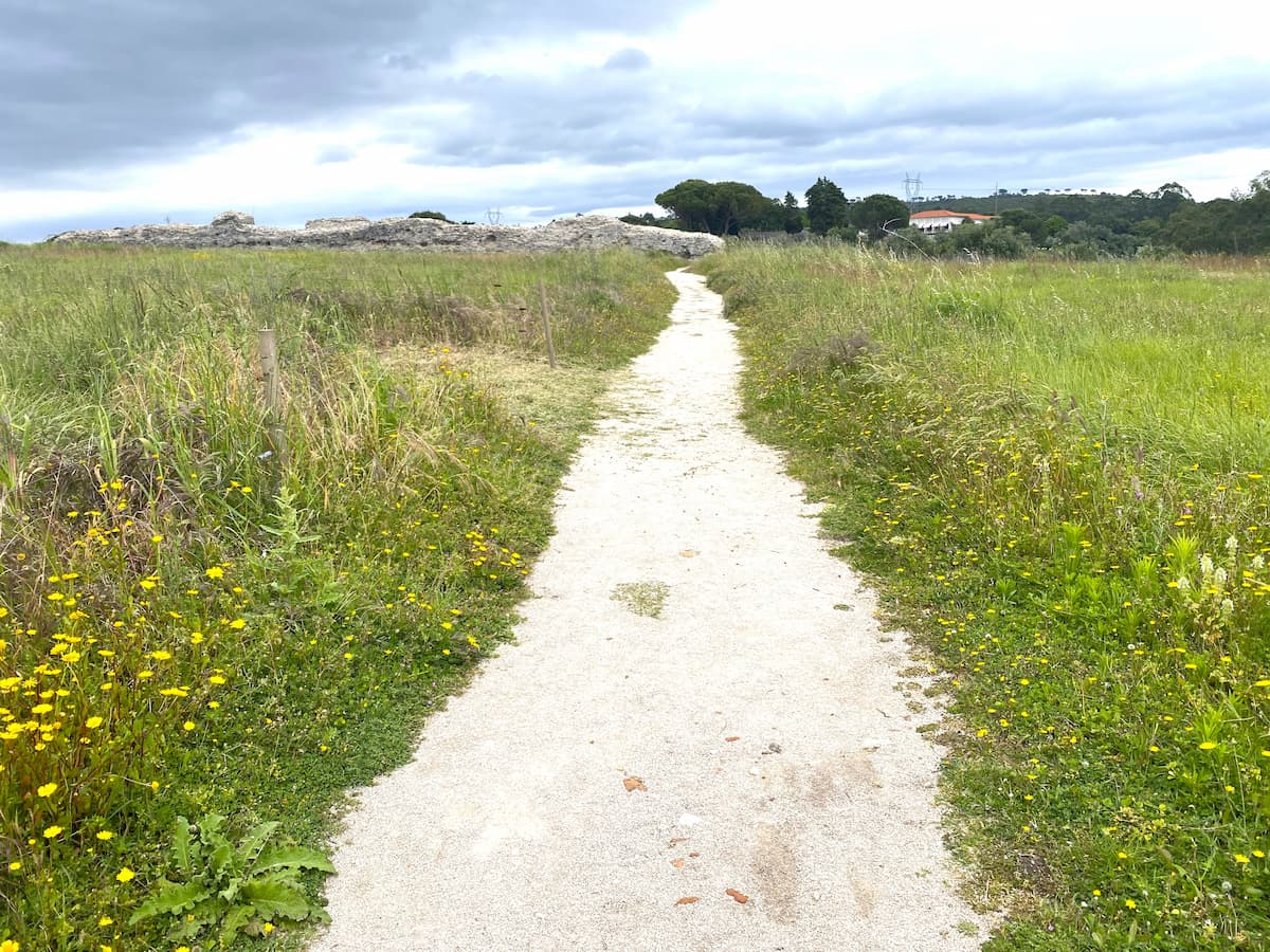 コニンブリガ遺跡