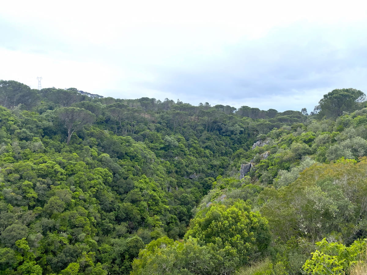 コニンブリガ遺跡