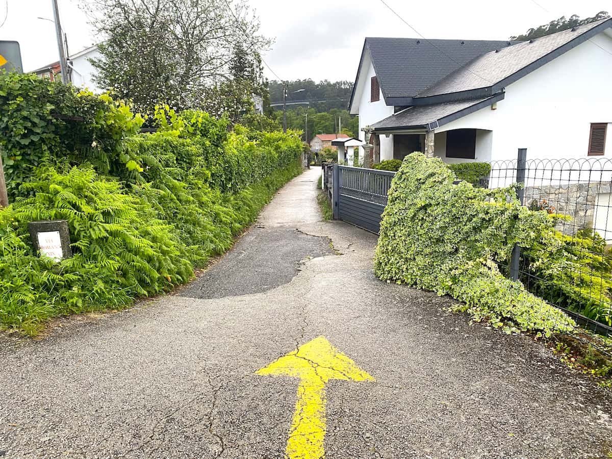 カミーノ・デ・サンティアゴ