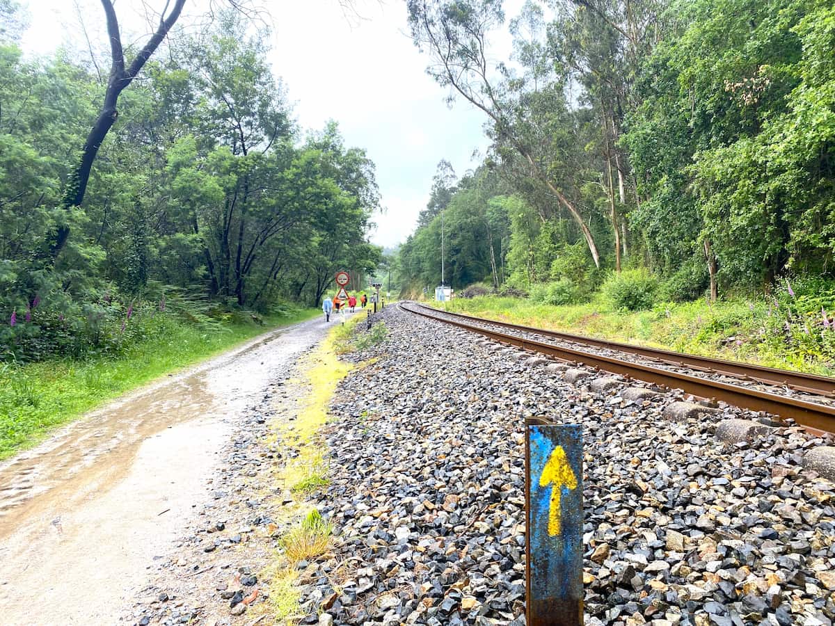 カミーノ・デ・サンティアゴ