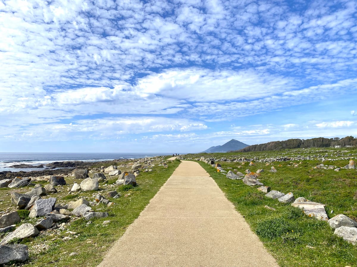 カミーノ・デ・サンティアゴ