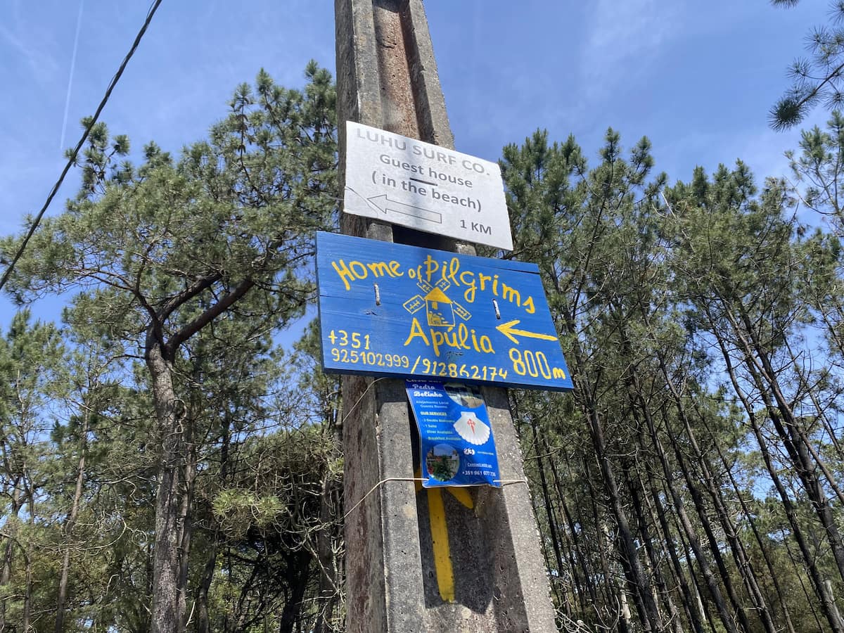 カミーノ　ポルトガルの道2日目