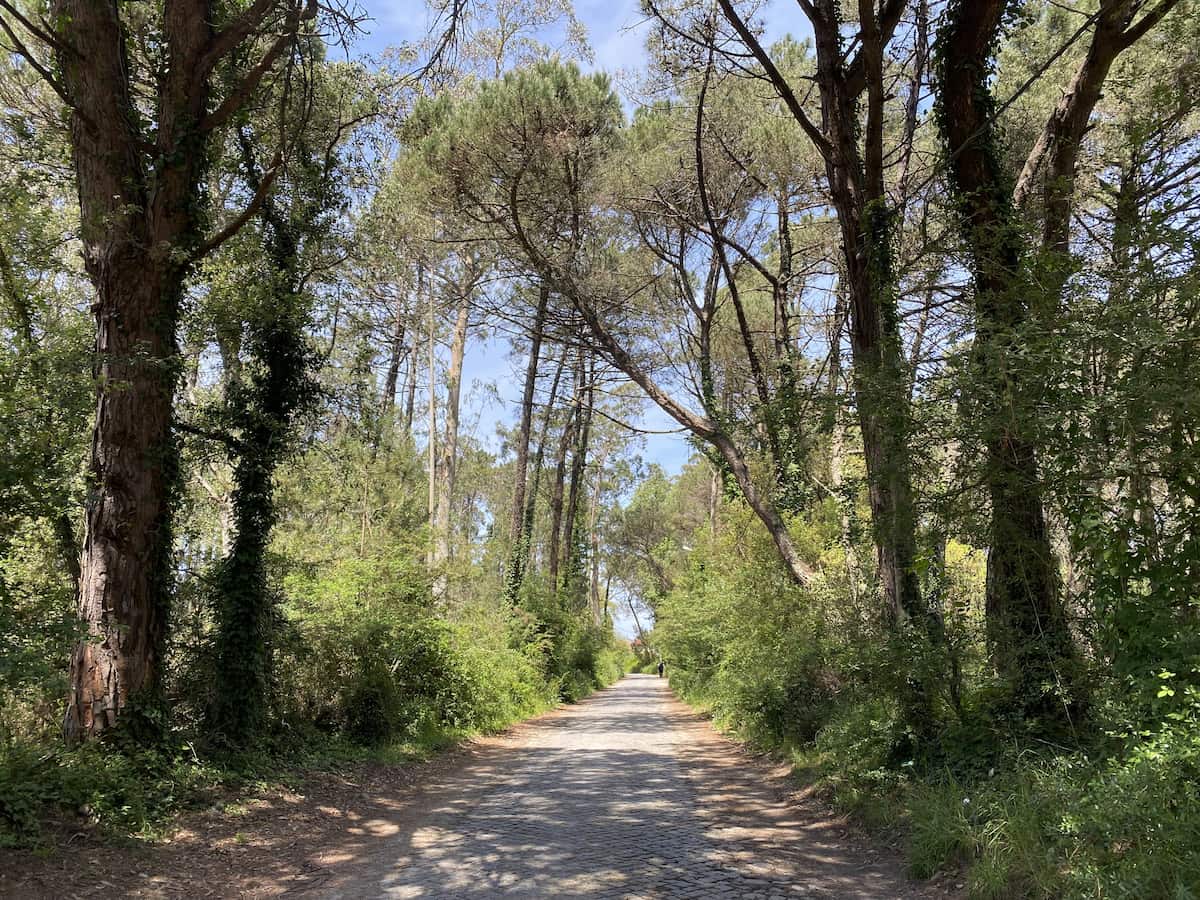 カミーノ　ポルトガルの道2日目