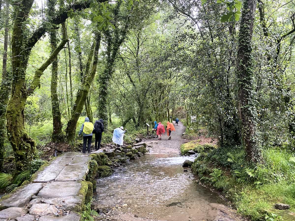 カミーノ　ポルトガルの道10日目