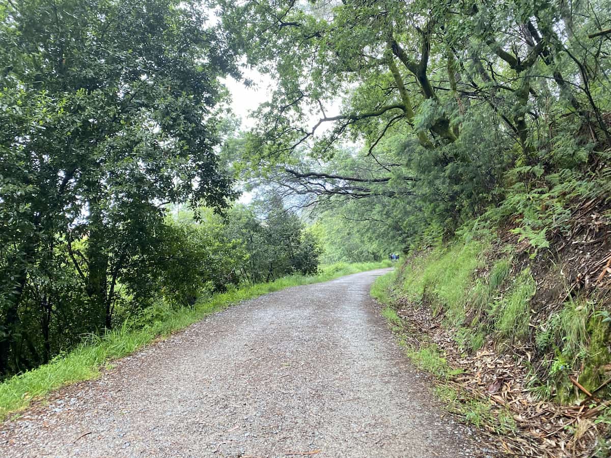 カミーノ　ポルトガルの道10日目