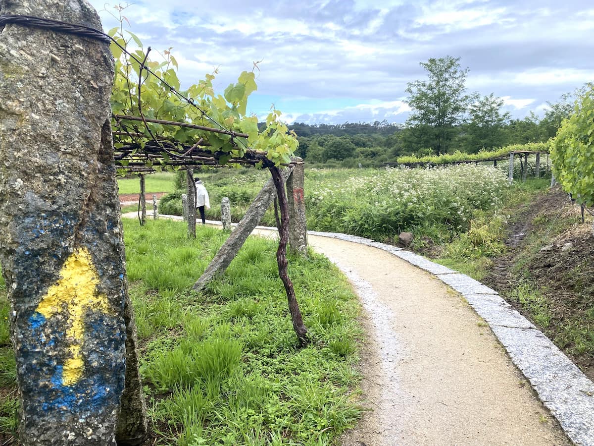 カミーノ　ポルトガルの道10日目