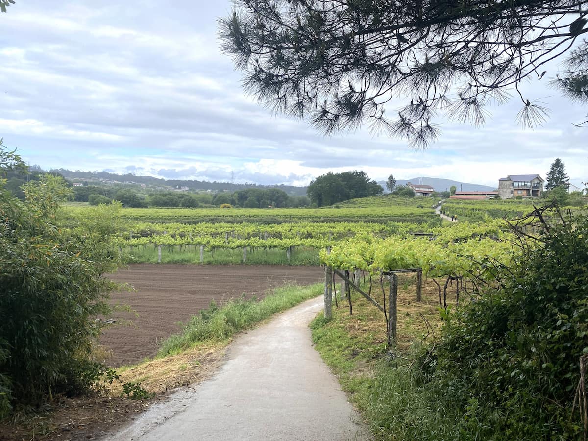 カミーノ　ポルトガルの道10日目