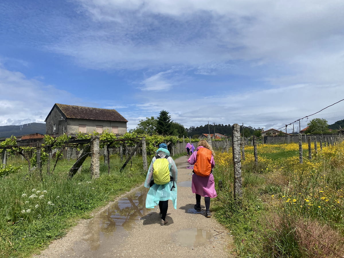 カミーノ　ポルトガルの道10日目