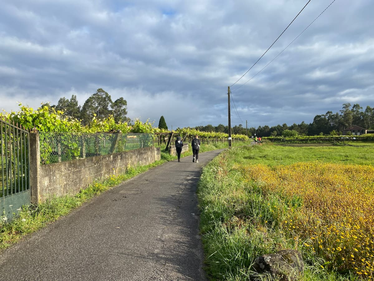 カミーノ　ポルトガルの道11日目