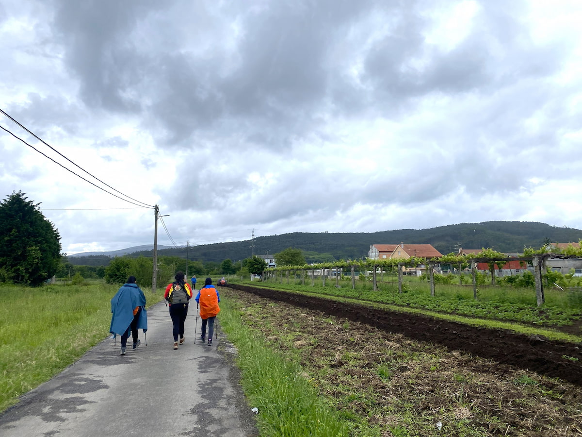 カミーノ　ポルトガルの道11日目