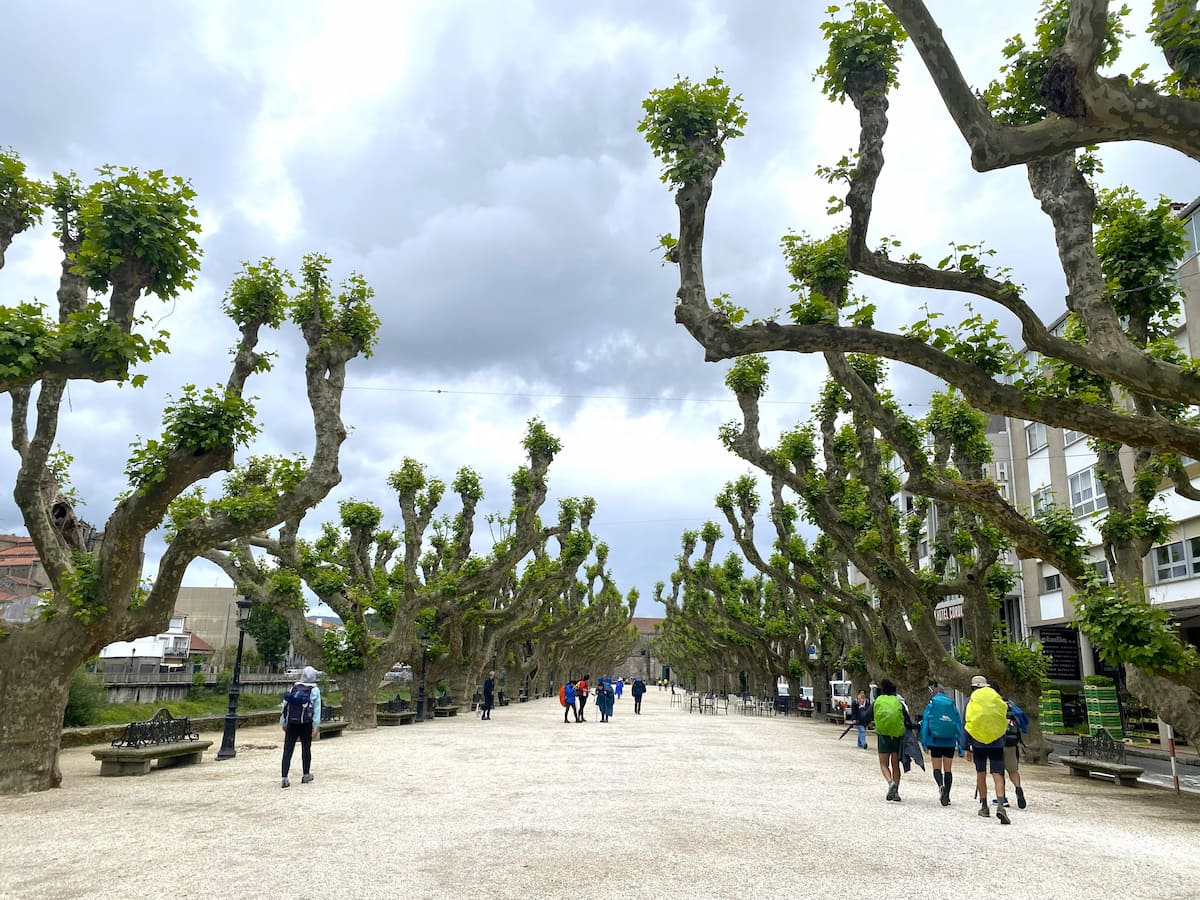 カミーノ　ポルトガルの道11日目