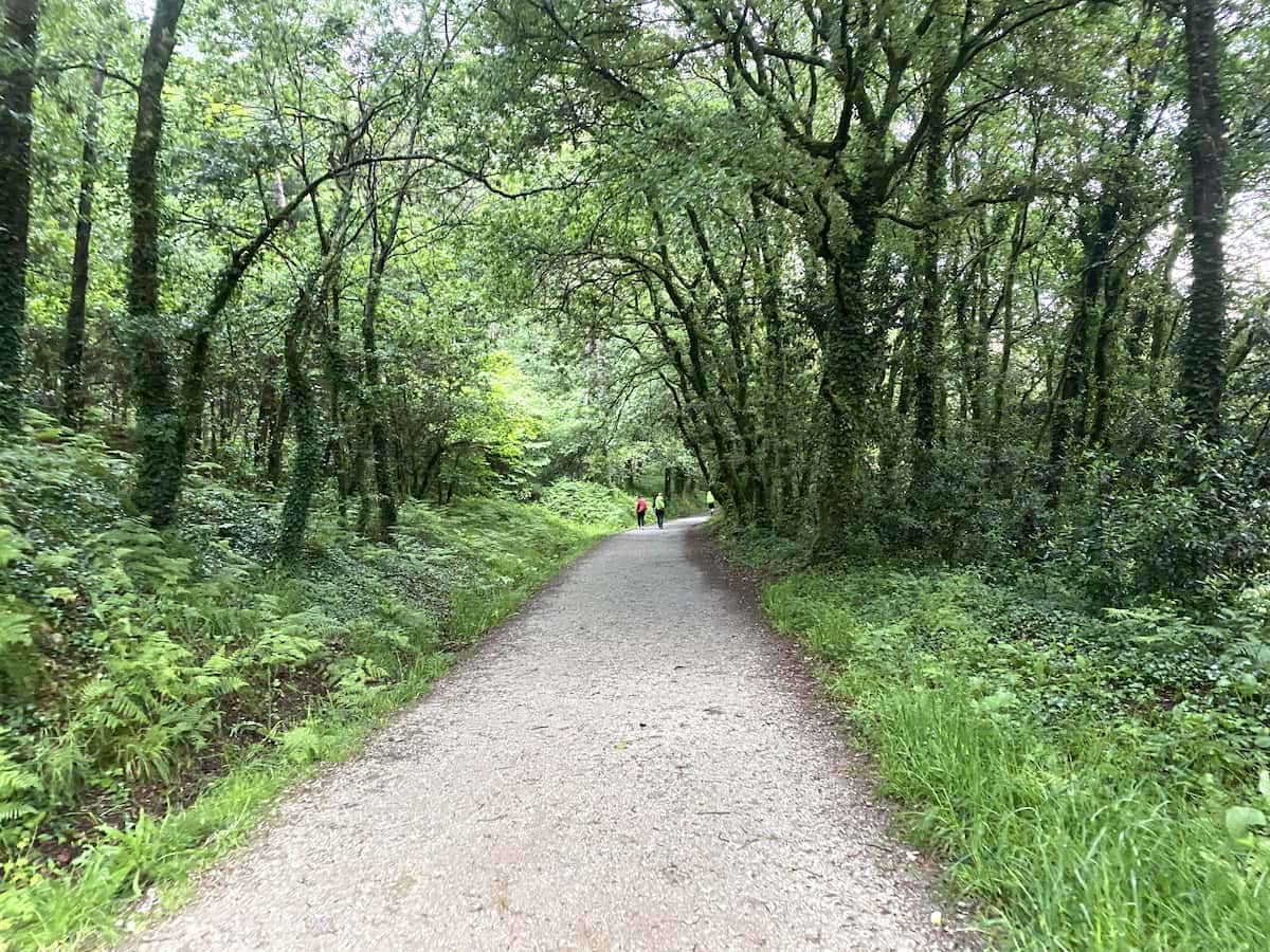 カミーノ　ポルトガルの道11日目