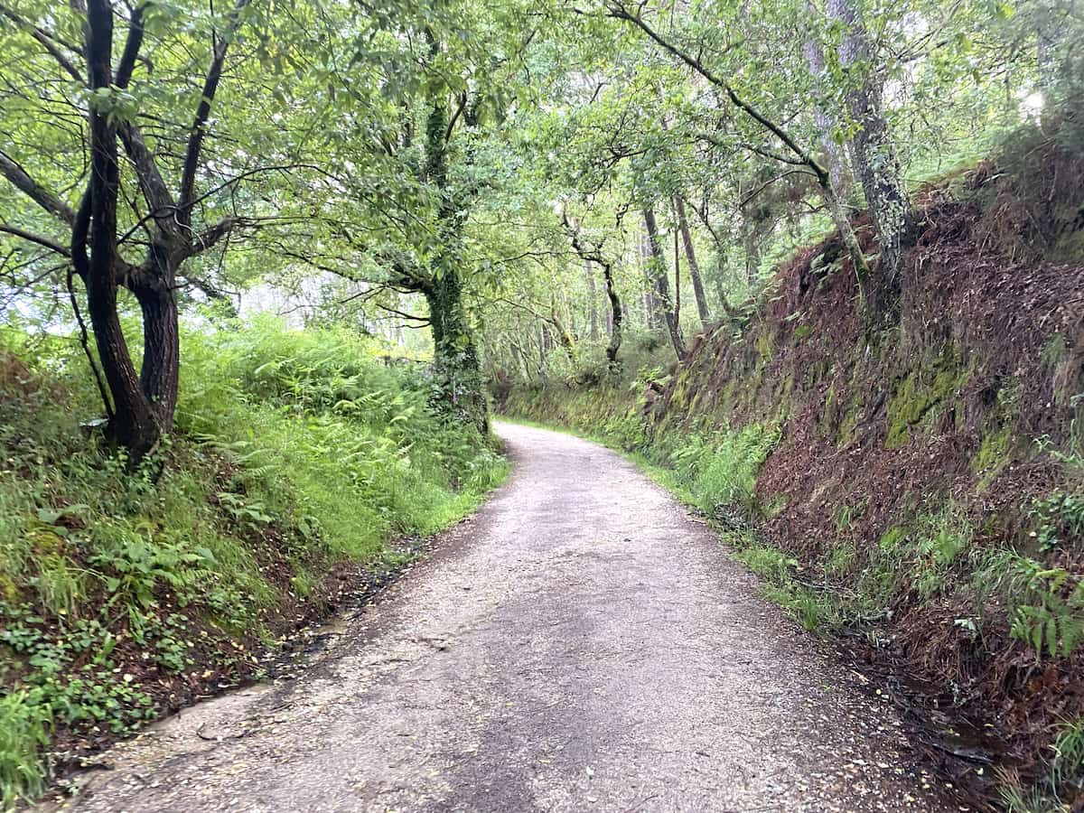 カミーノ　ポルトガルの道11日目