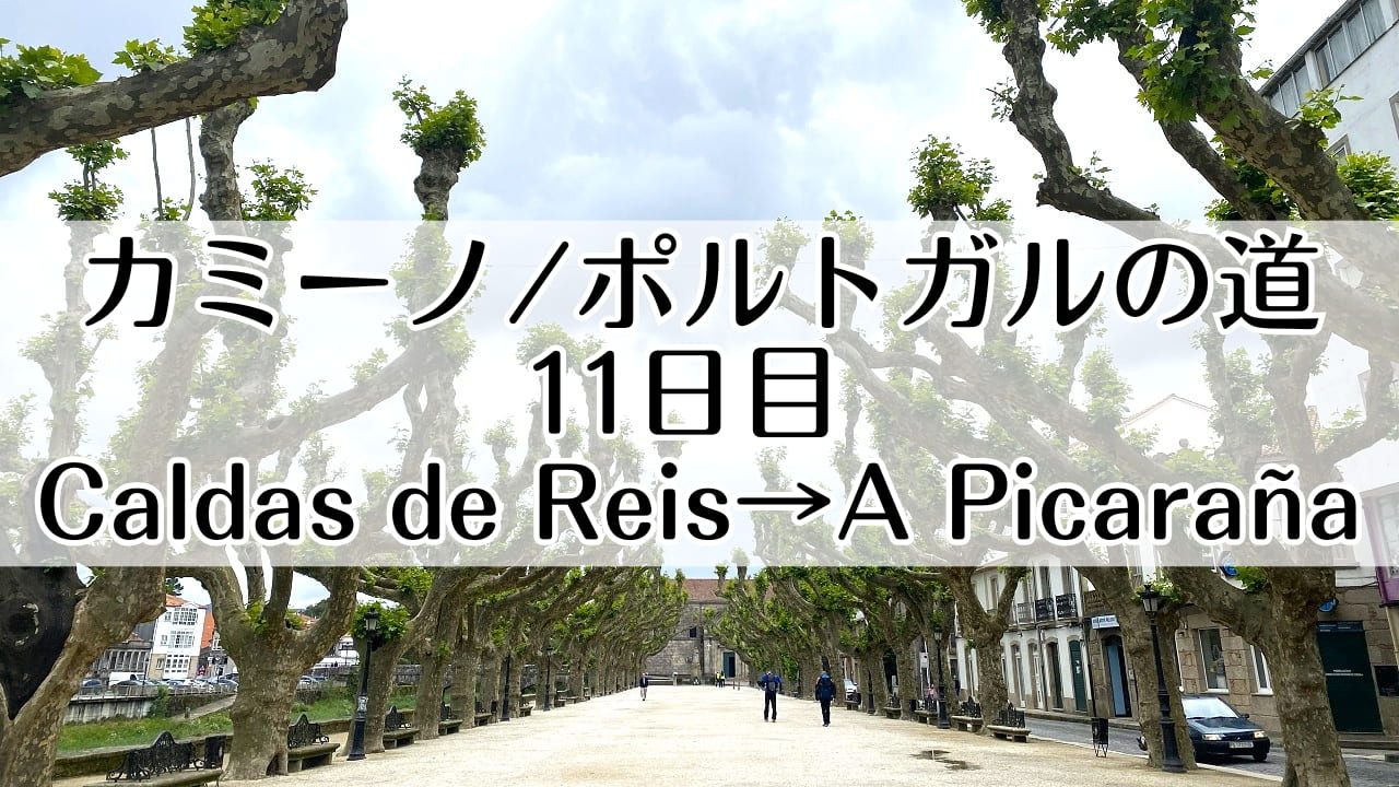 カミーノ　ポルトガルの道11日目