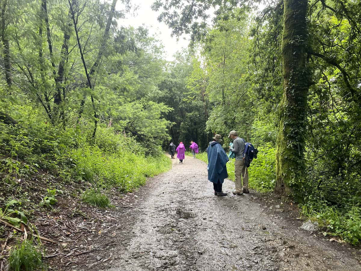 カミーノ　ポルトガルの道12日目