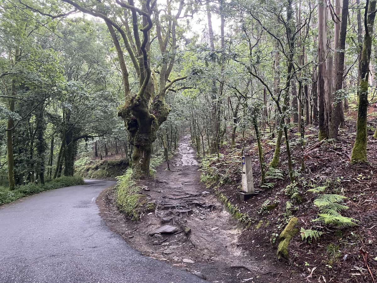 カミーノ　ポルトガルの道12日目