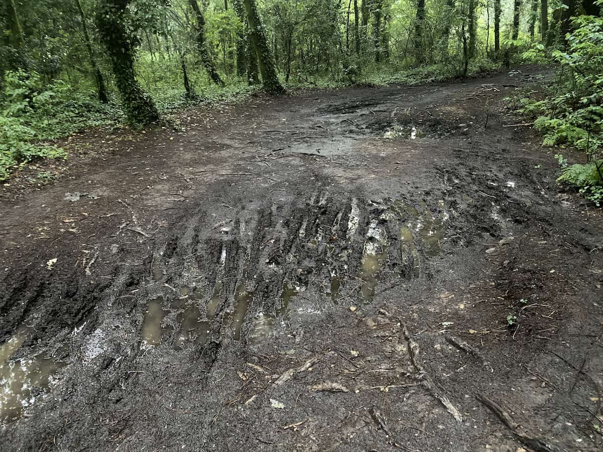 カミーノ　ポルトガルの道12日目