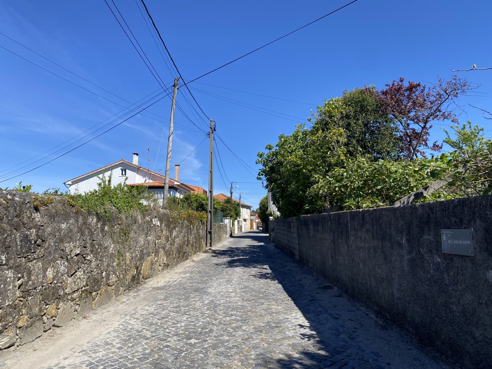カミーノ ポルトガルの道3日目