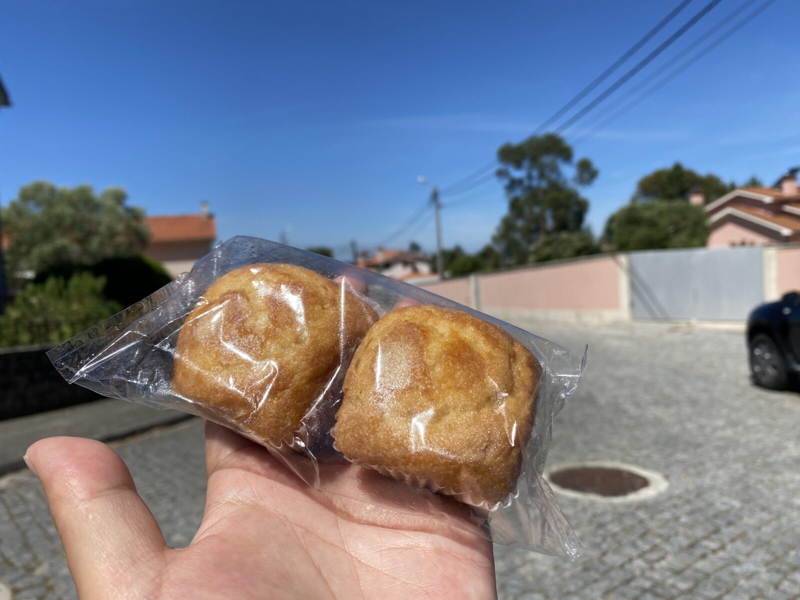 カミーノ ポルトガルの道3日目