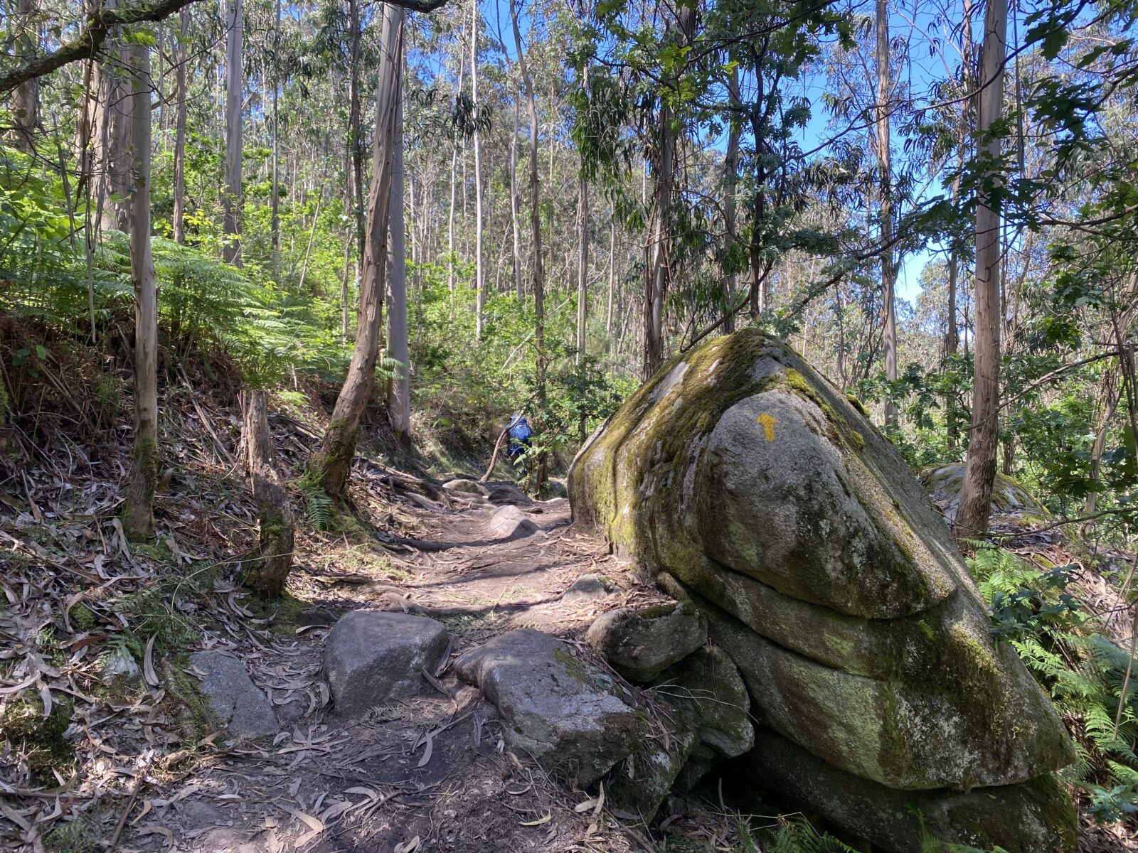 カミーノ ポルトガルの道3日目