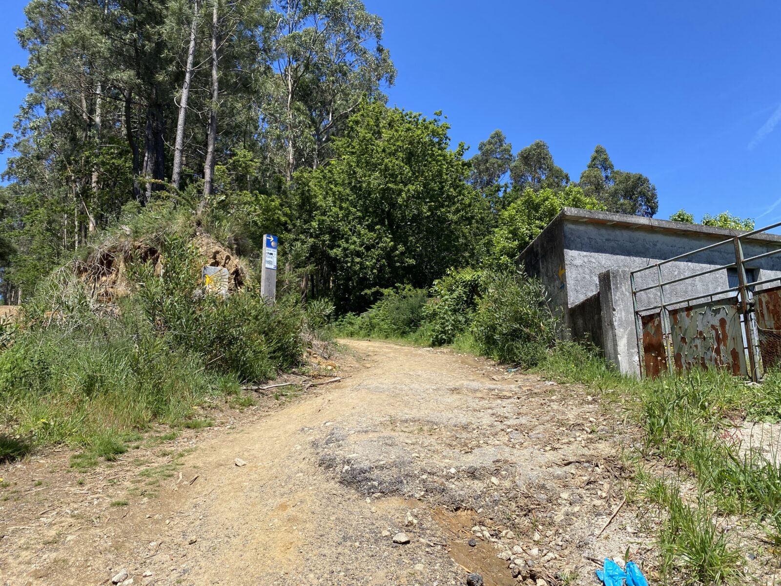カミーノ ポルトガルの道3日目