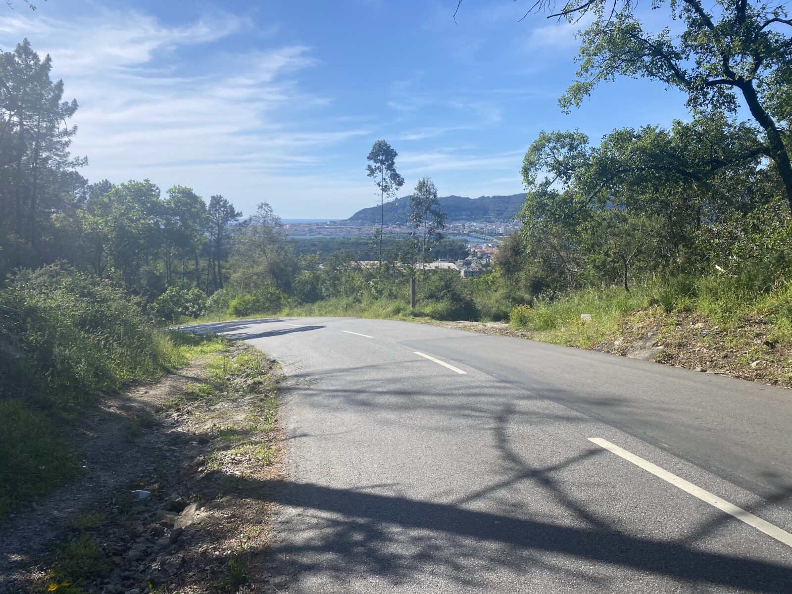 カミーノ ポルトガルの道3日目
