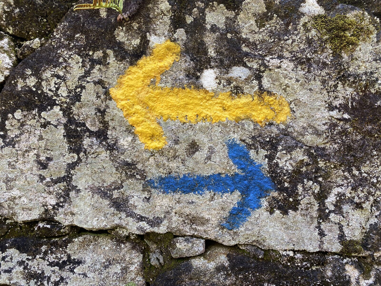 カミーノ ポルトガルの道3日目