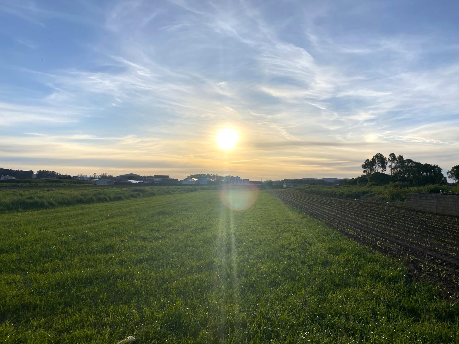 カミーノ ポルトガルの道3日目