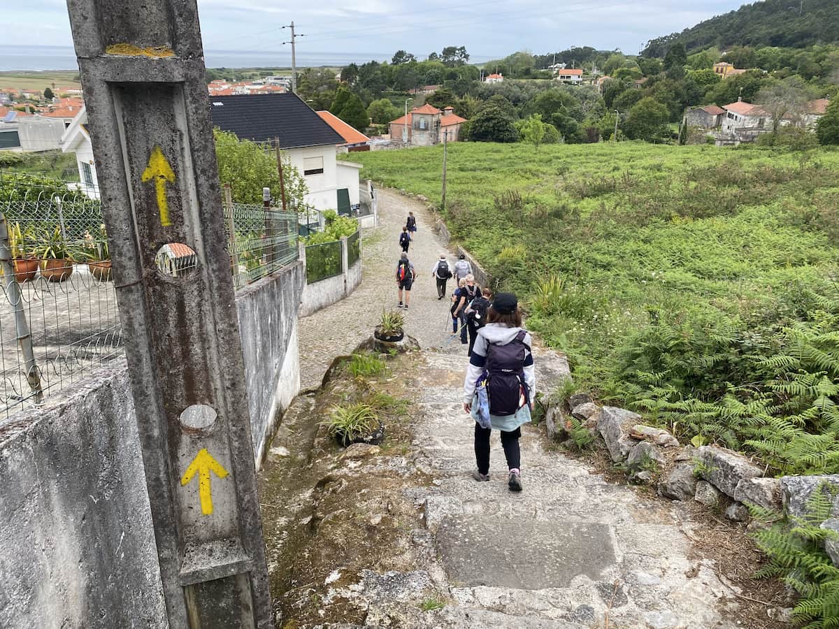 カミーノ ポルトガルの道4日目