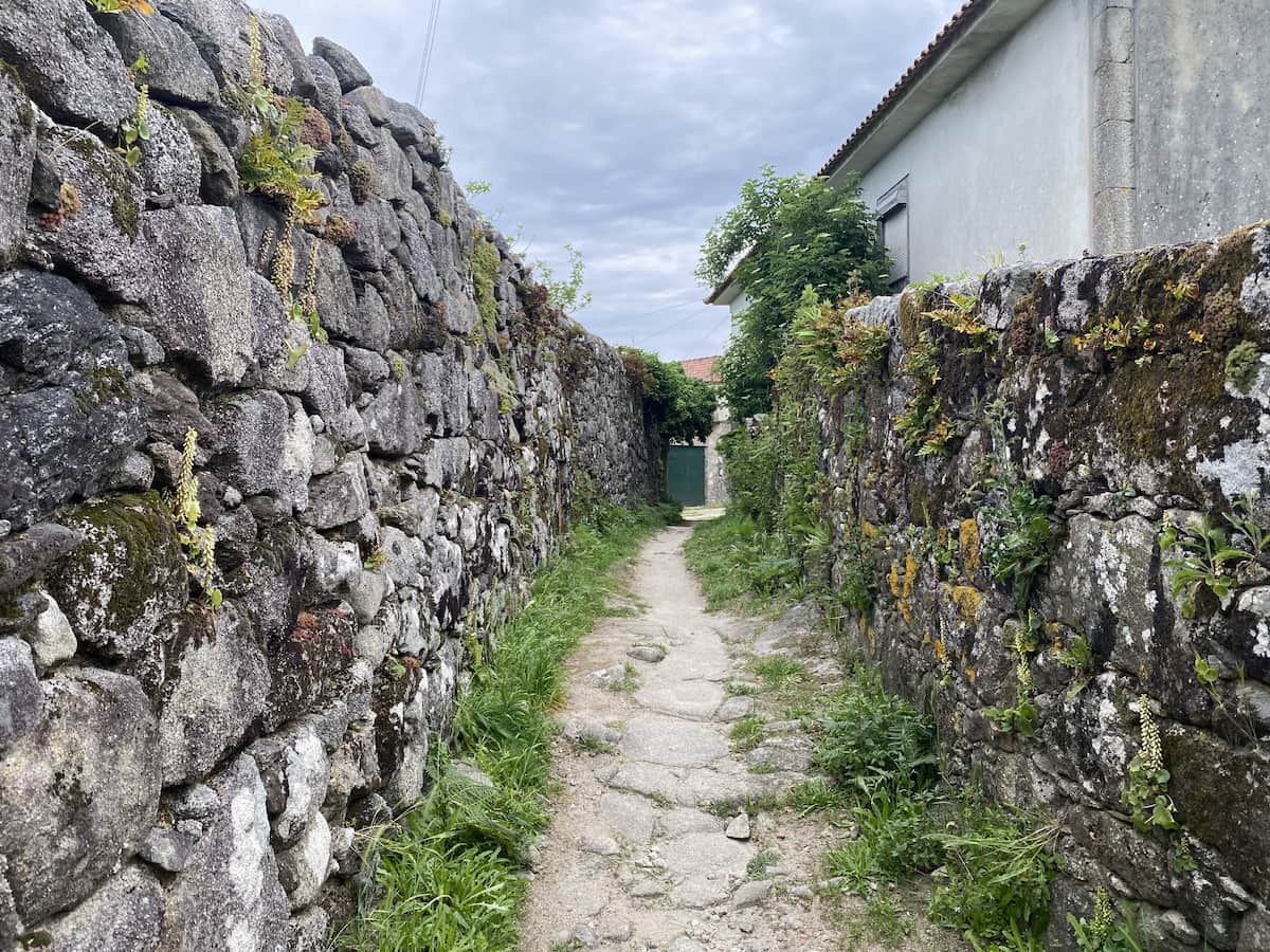 カミーノ ポルトガルの道4日目