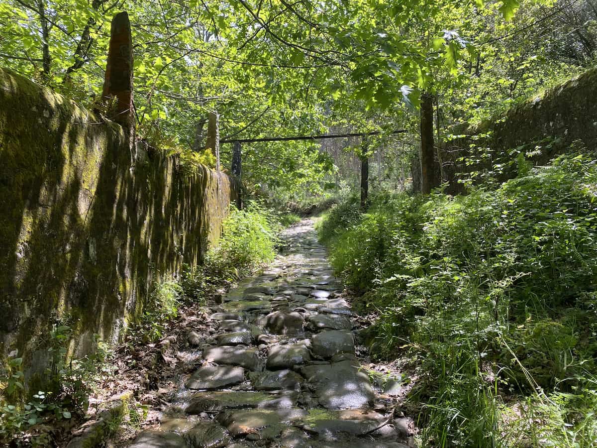 カミーノ ポルトガルの道4日目