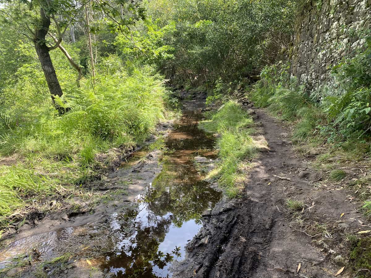 カミーノ ポルトガルの道4日目