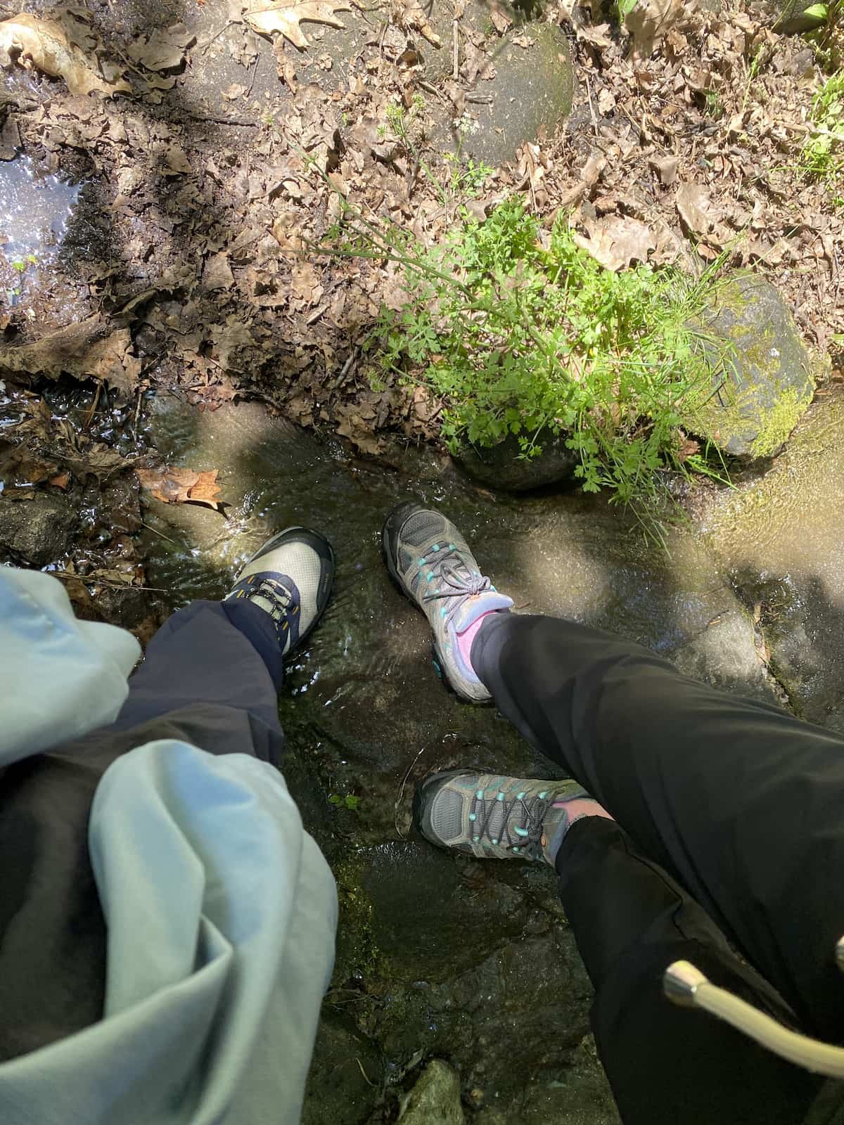 カミーノ ポルトガルの道4日目