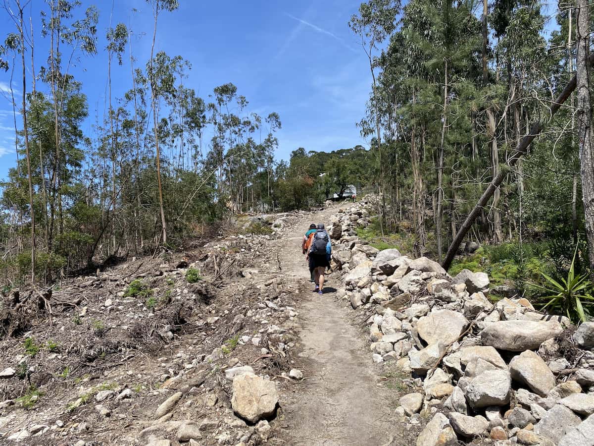 カミーノ ポルトガルの道4日目