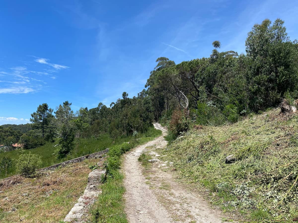 カミーノ ポルトガルの道4日目