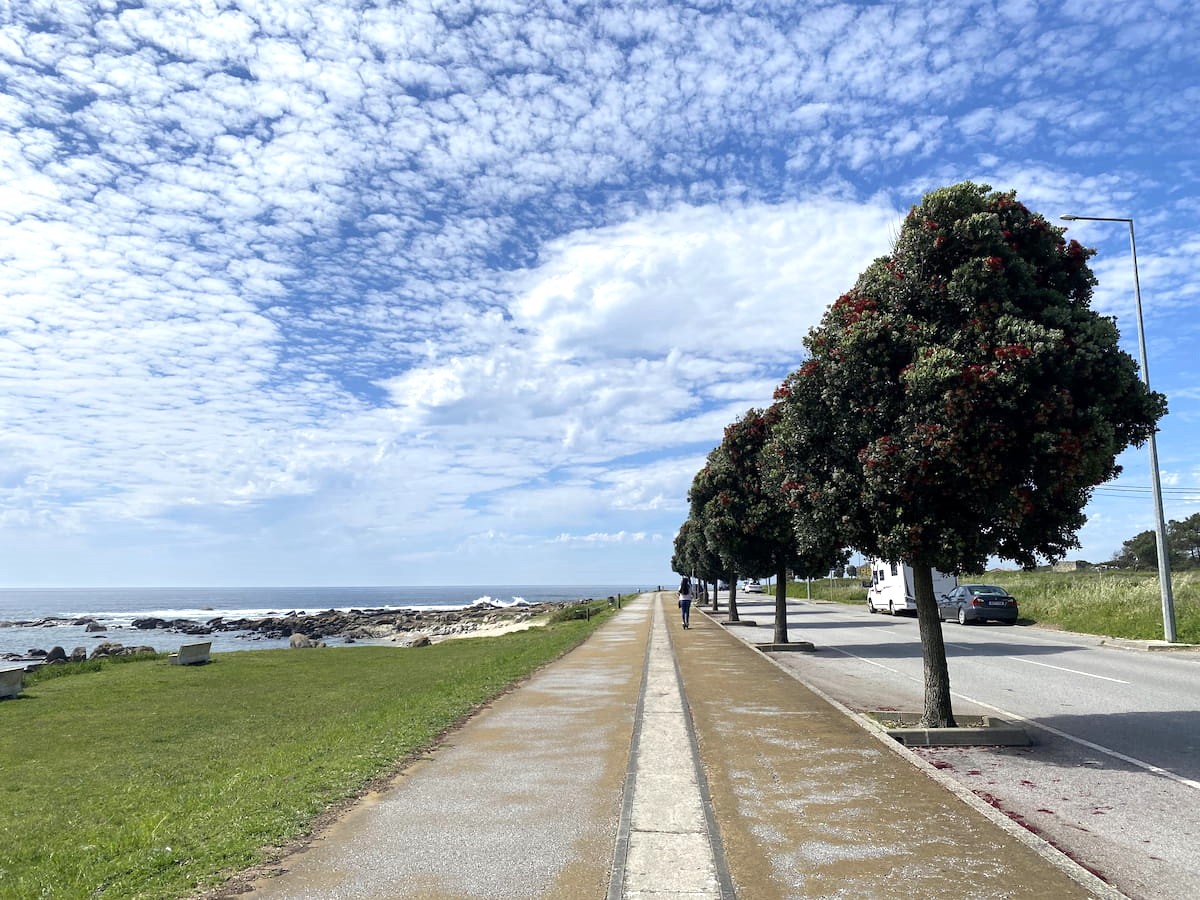 カミーノ ポルトガルの道4日目