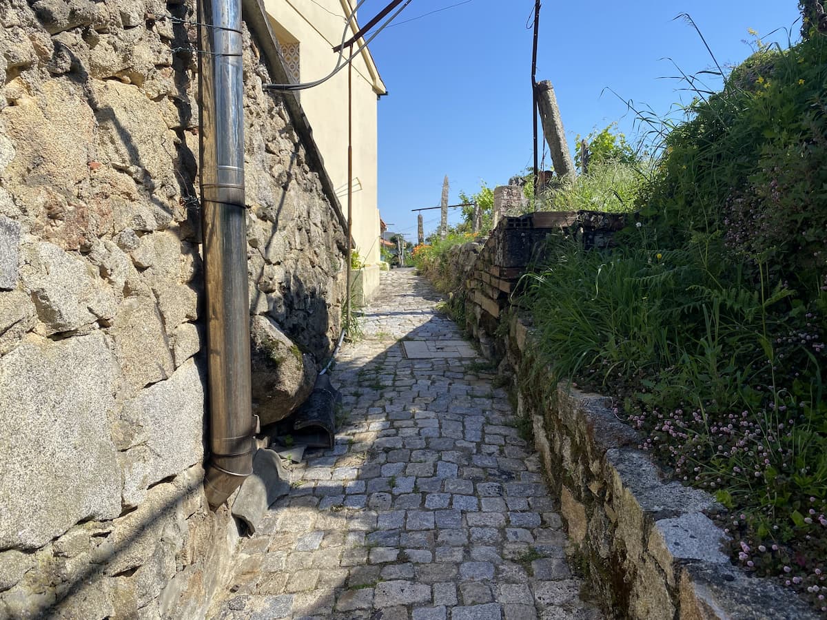 カミーノ　ポルトガルの道5日目