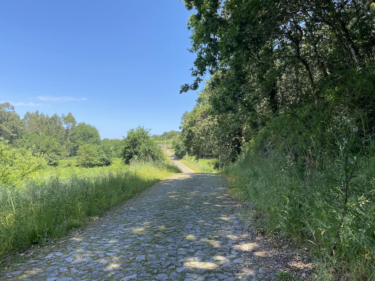 カミーノ　ポルトガルの道5日目