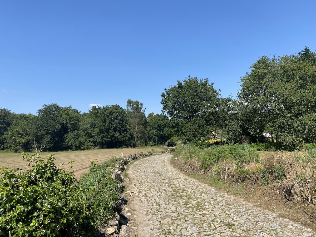 カミーノ　ポルトガルの道5日目