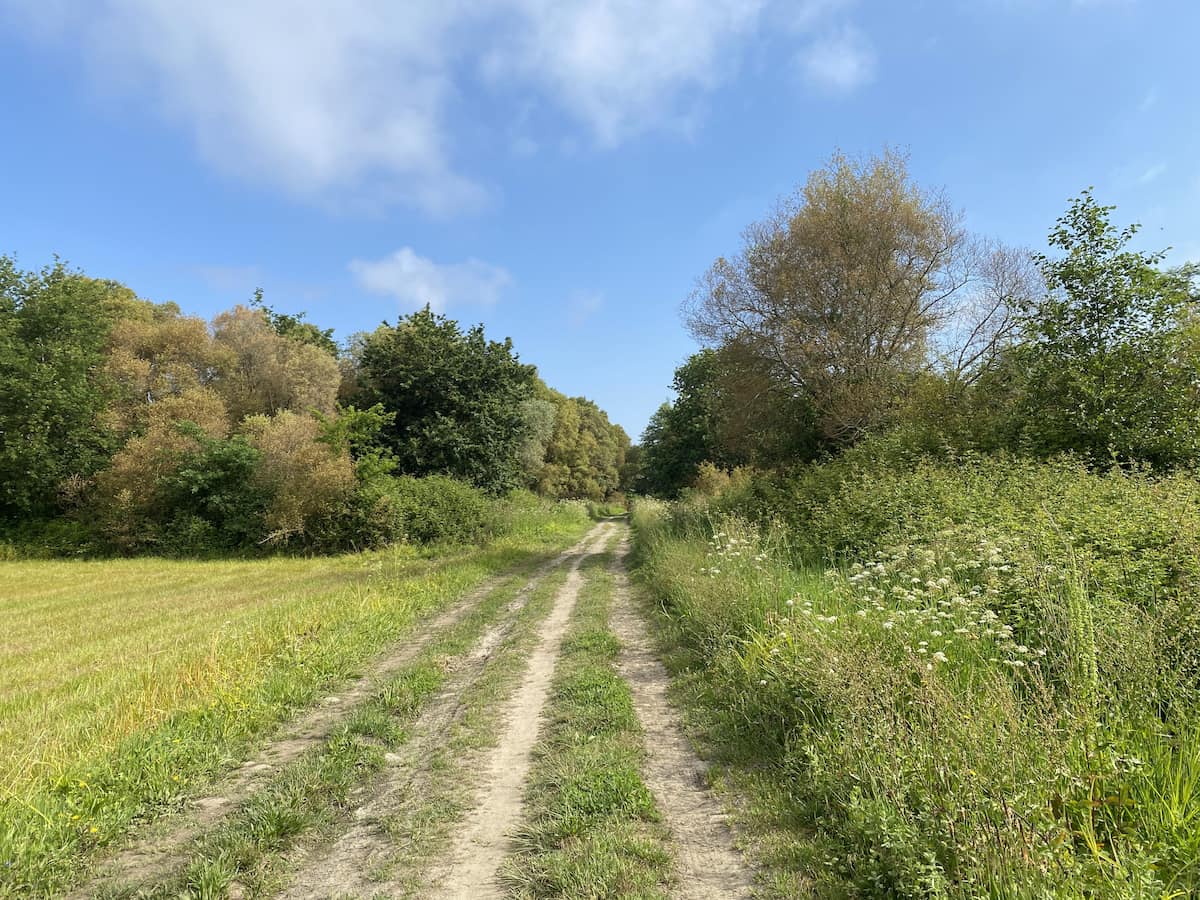 カミーノ ポルトガルの道6日目