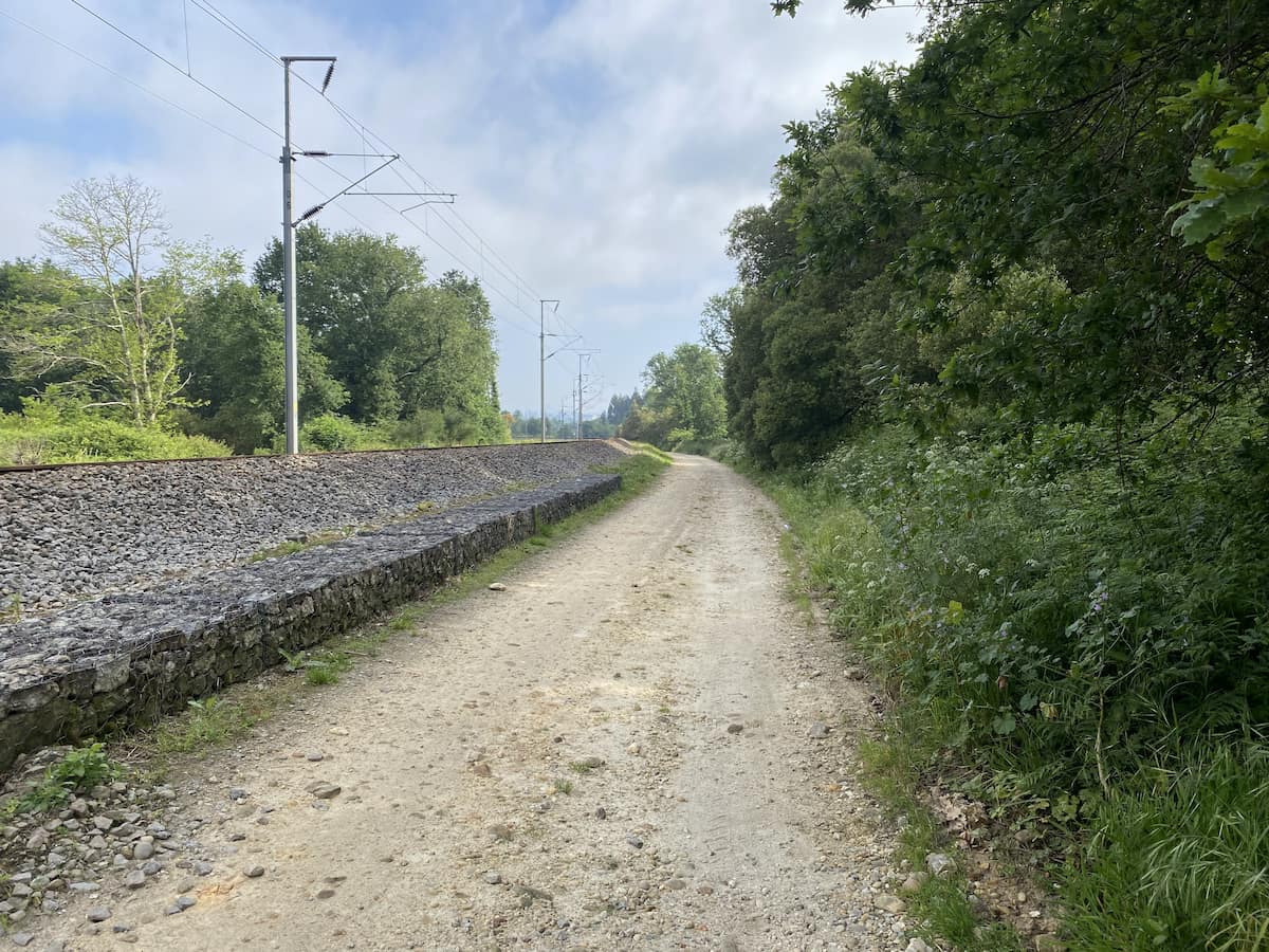 カミーノ ポルトガルの道6日目