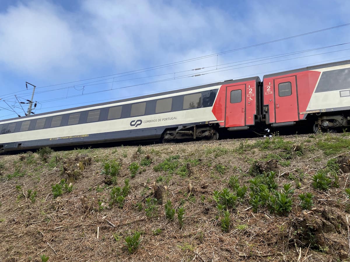 カミーノ ポルトガルの道6日目