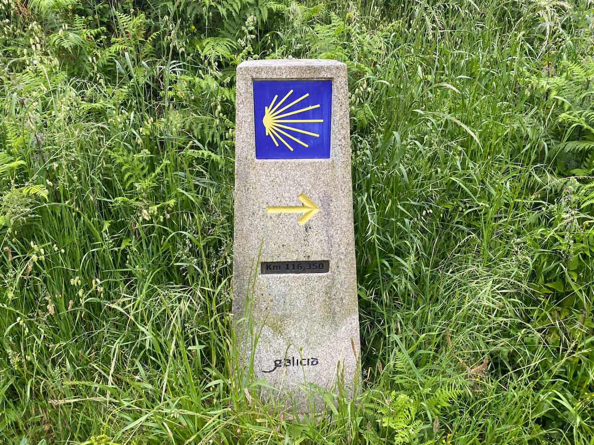 カミーノ ポルトガルの道7日目