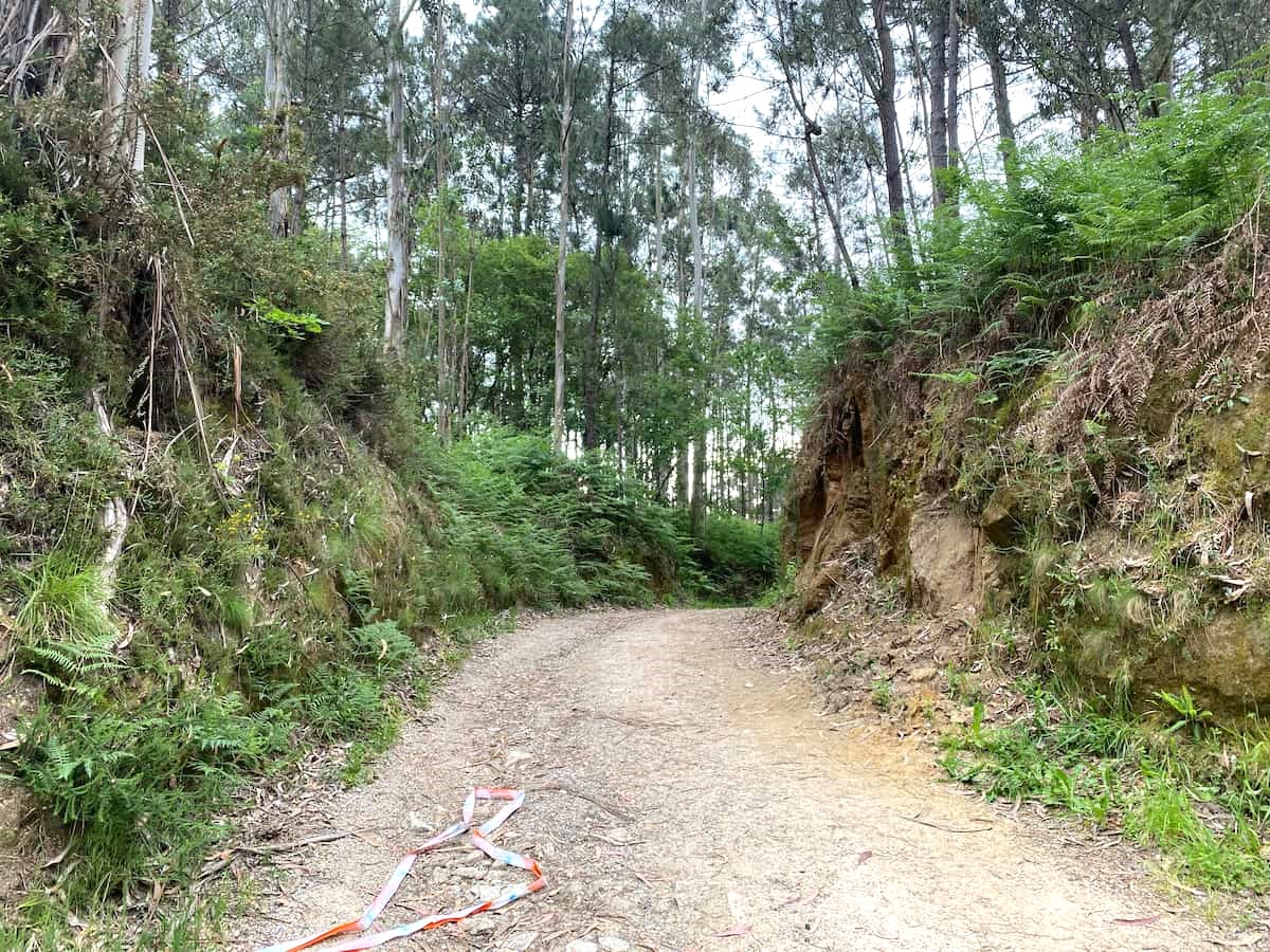 カミーノ ポルトガルの道7日目