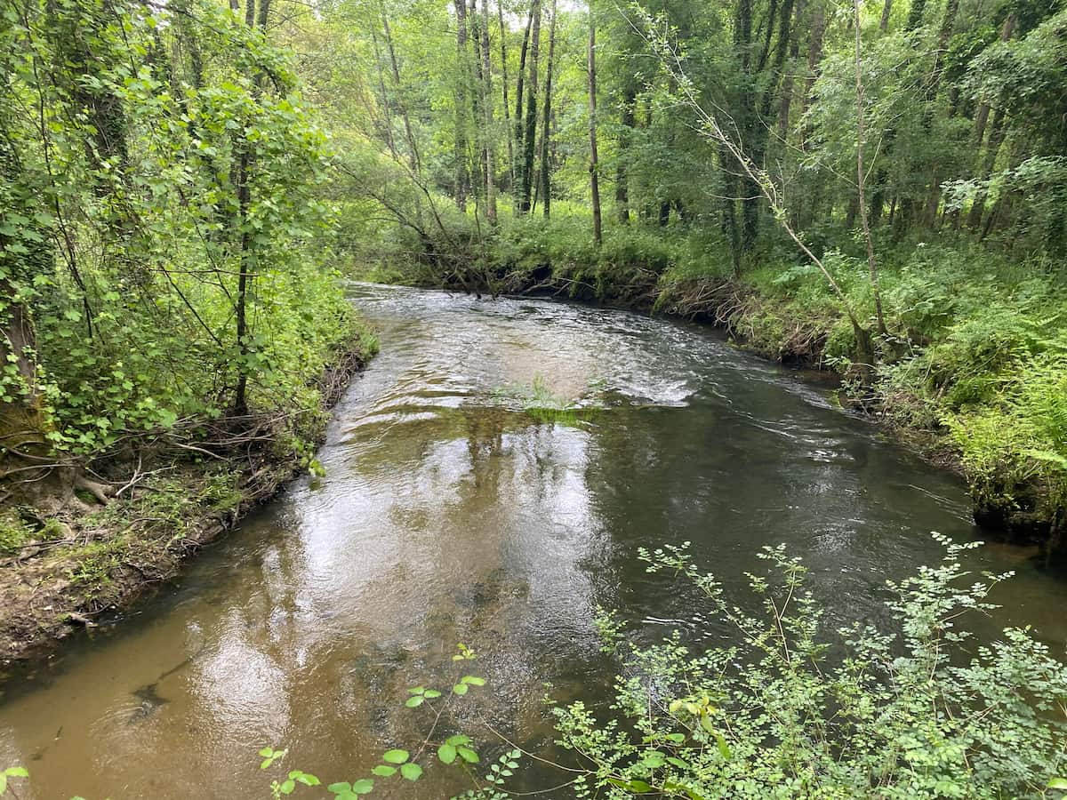 カミーノ ポルトガルの道7日目