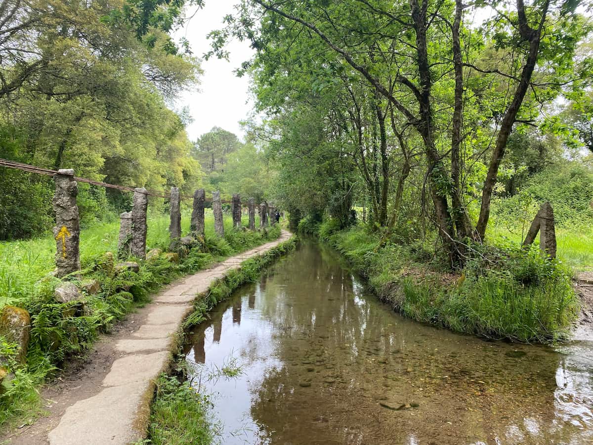 カミーノ ポルトガルの道7日目