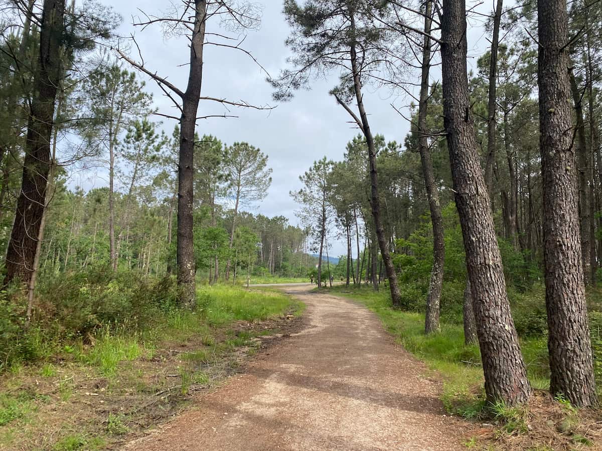 カミーノ ポルトガルの道7日目