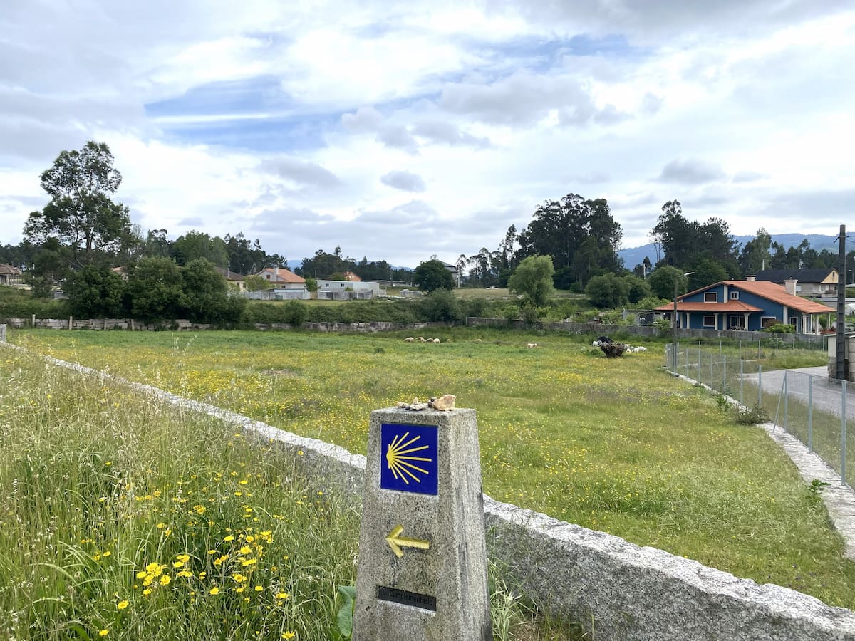 カミーノ ポルトガルの道7日目