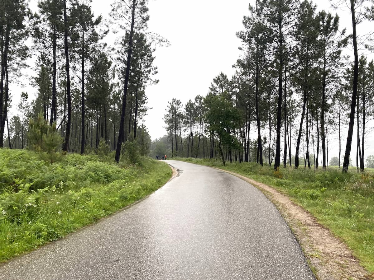 カミーノ　ポルトガルの道8日目